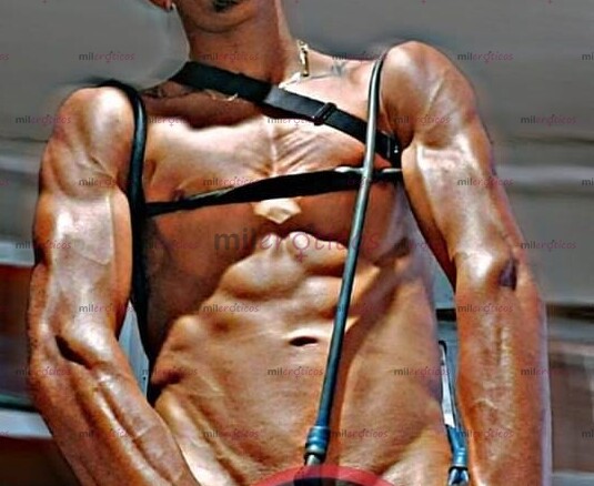 FOTOS DE LLEGO EL CABALLO NEGRO LISTO PARA COMPLACER TU NOCHE