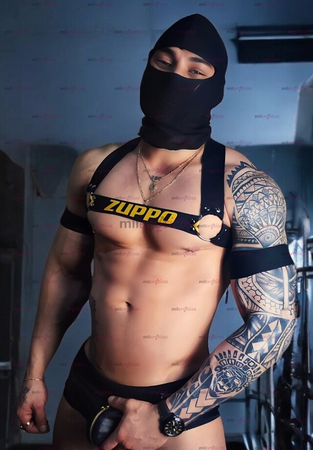 FOTOS DE CORNEADOR VERGON EN TU CUIDAD. 22 CM LECHERO.