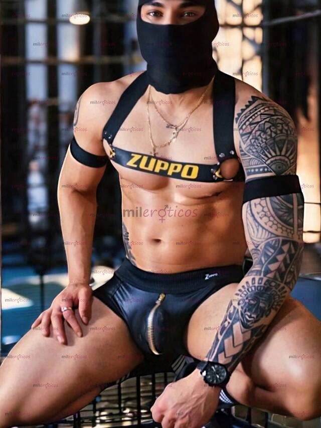 FOTOS DE CORNEADOR VERGON EN TU CUIDAD. 22 CM LECHERO.