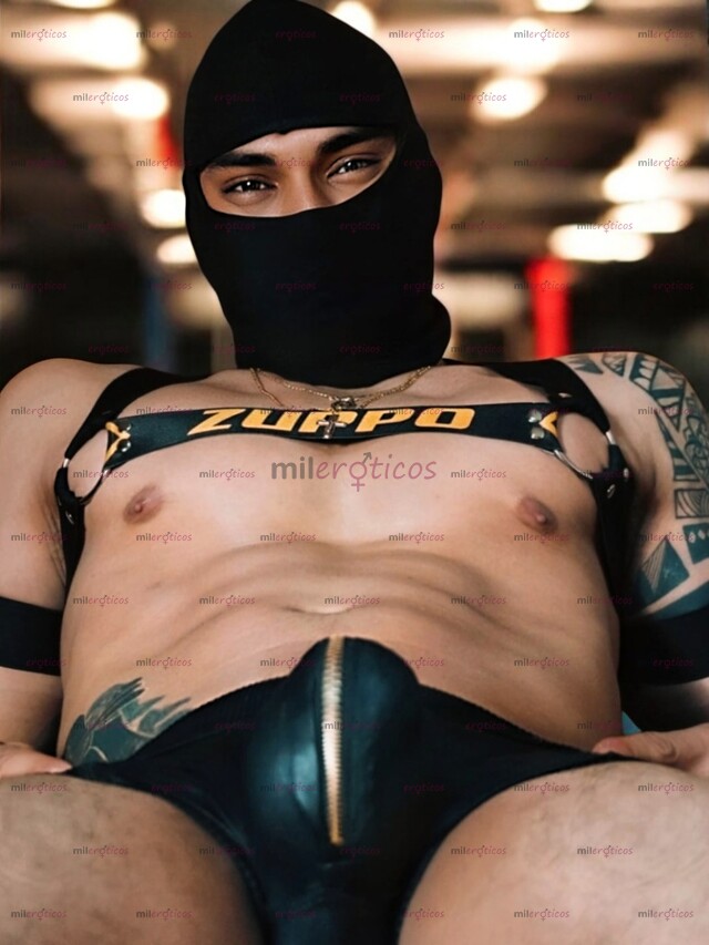 FOTOS DE CORNEADOR VERGON EN TU CUIDAD. 22 CM LECHERO.