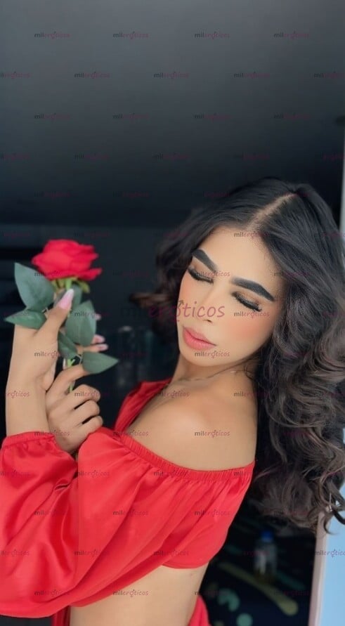 FOTOS DE SOY EINGEL , UNA CHICA TRANS DE 19 AÑOS SOY MUY LINDA Y CARIÑOSA ULTIMOS DIAS