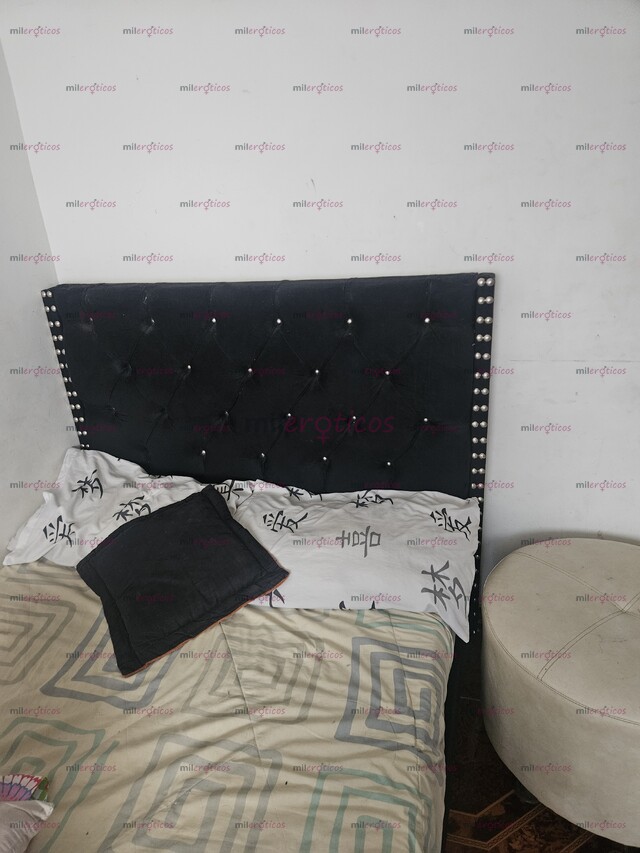 FOTOS DE HABITACIONES AMOBLADAS PARA CHICAS INDEPENDIENTES, EXCELENTE UBICACIÓN
