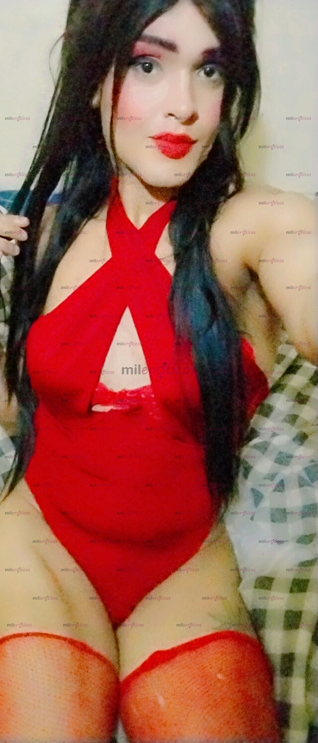 FOTOS DE DISPONIBLE CHIC TRANS COMPLACIENTE INTERACTIVA DISCRETA