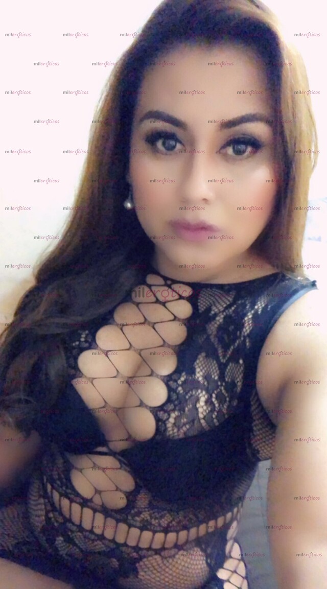 FOTOS DE NO TE LO PIERDAS ÚLTIMOS. DÍAS. DE GIRA. DISPONIBLE 24 7
