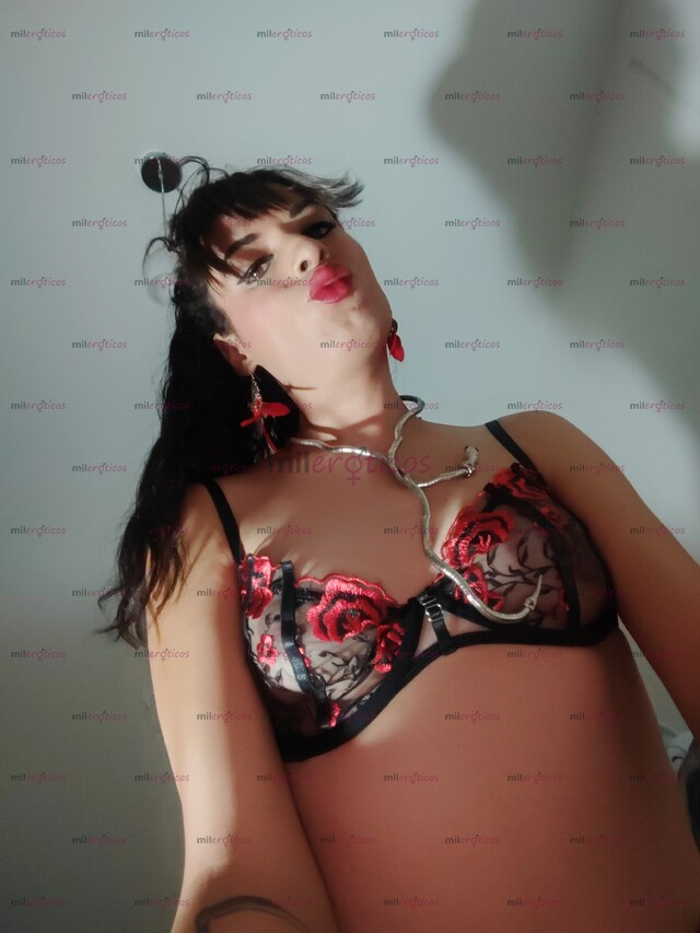 FOTOS DE GUAPA TRANSEXUAL SOY ADICTIVA SENSUAL Y NUEVA EN TU CIUDAD