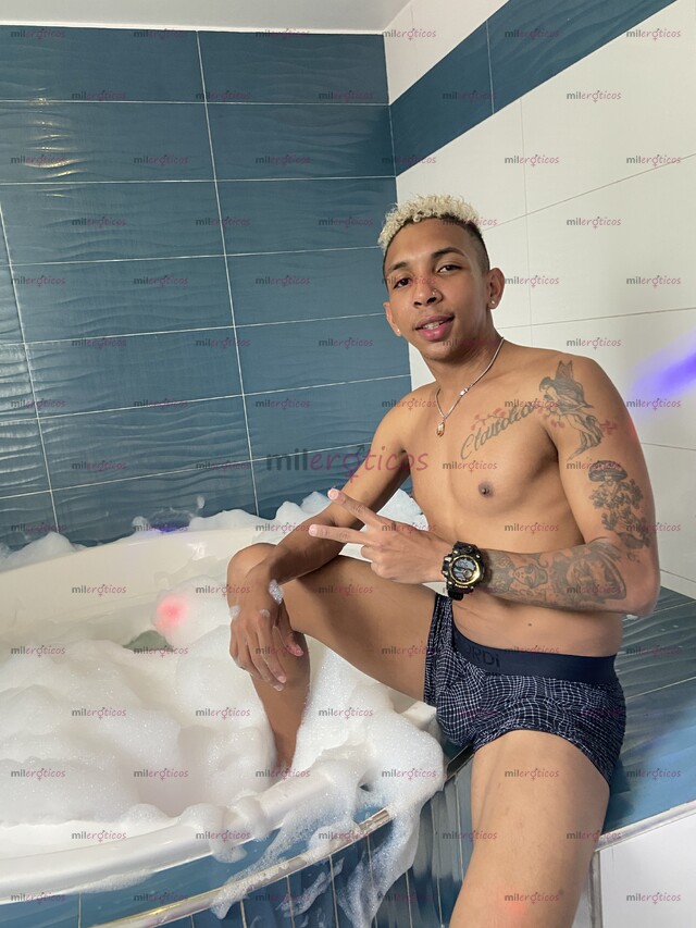 FOTOS DE MORENO VERGÓN 23 CM FIESTERO CERDO DE REGRESO A LA CIUDA