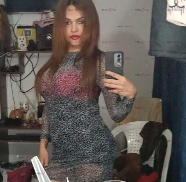 FOTOS DE BOGOTA..TRABAJO SOLA NADA DE DISFRASES.RENOVADA.POMPIS.Y.SENO.PERADA