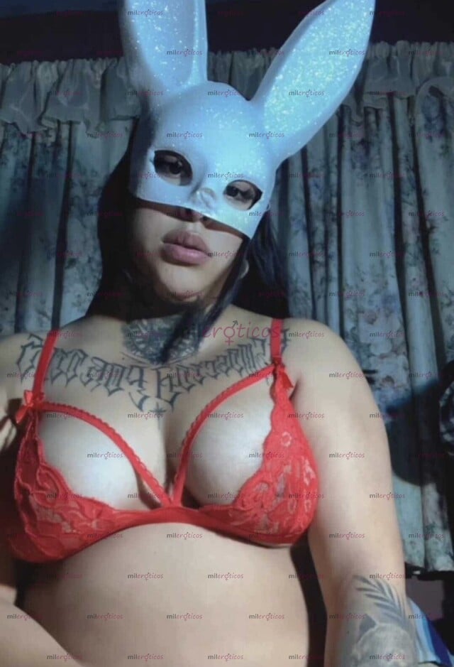 FOTOS DE PERRITA CACHONDA PUTISIMA Y MUY COGELONA TE LA VOY A MAMAR RIQUÍSIMO
