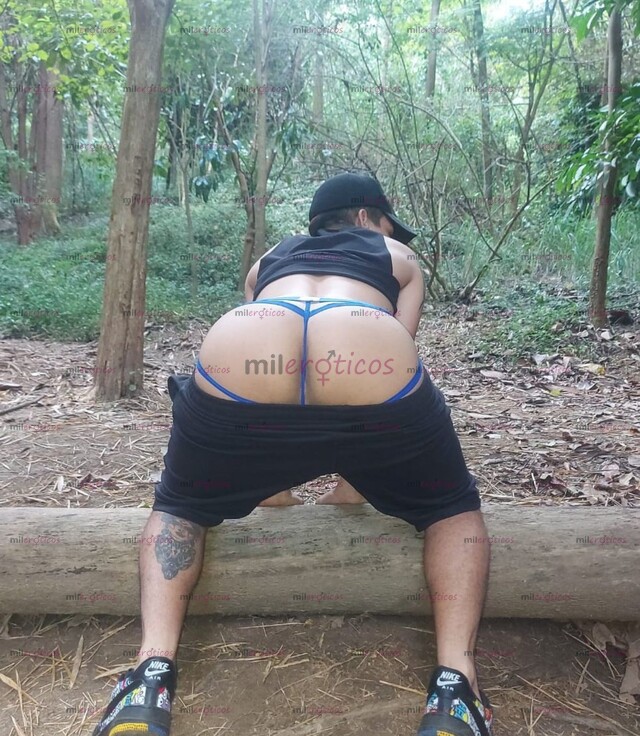 FOTOS DE POLLO VERSATIL COMPLACIENTE NUEVO EN LA CIUDAD