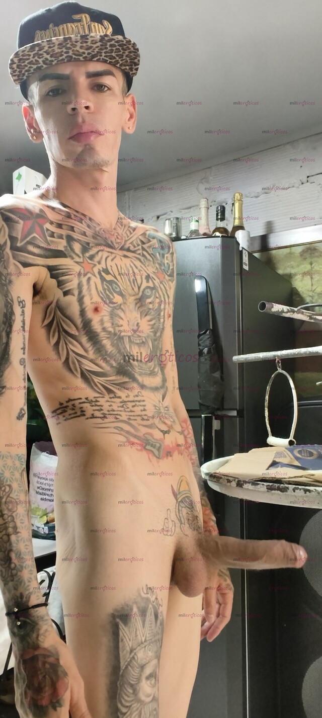 FOTOS DE SERIO FLACO TATUADO BLANCO VERGA DURA ACTIVO MORBOSO