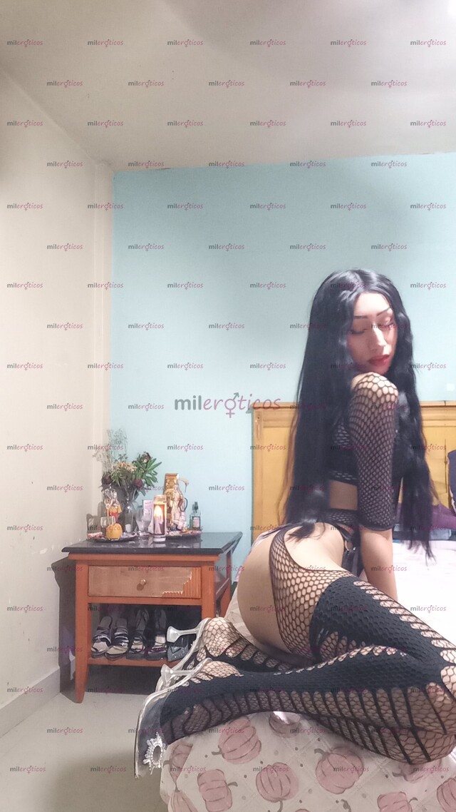 FOTOS DE HOLA CHICA NUEVA EN TU CUIDAD UNICOS DIAS, COMPLACIENTE