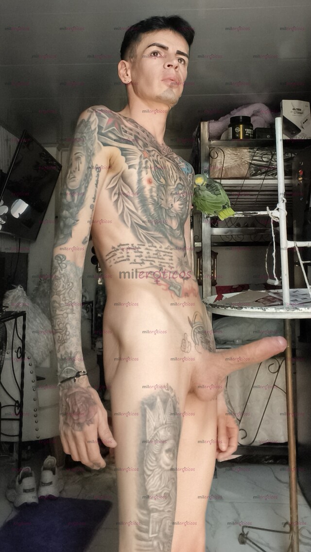 FOTOS DE FLACO VERGON ACTIVO MORBOSO LECHERO SEXUAL