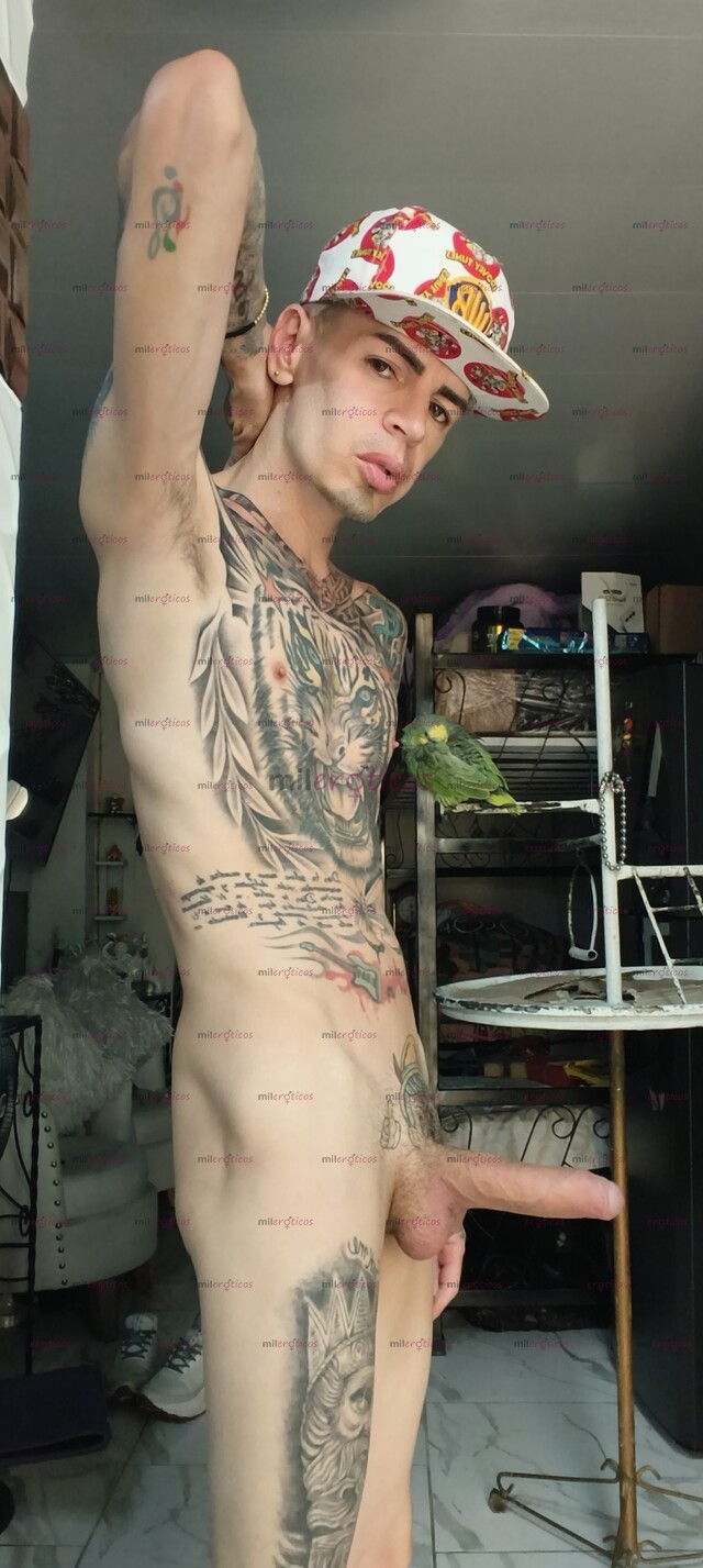 FOTOS DE FLACO VERGON TATUADO BLANCO ACTIVO SERIO RESERVADO