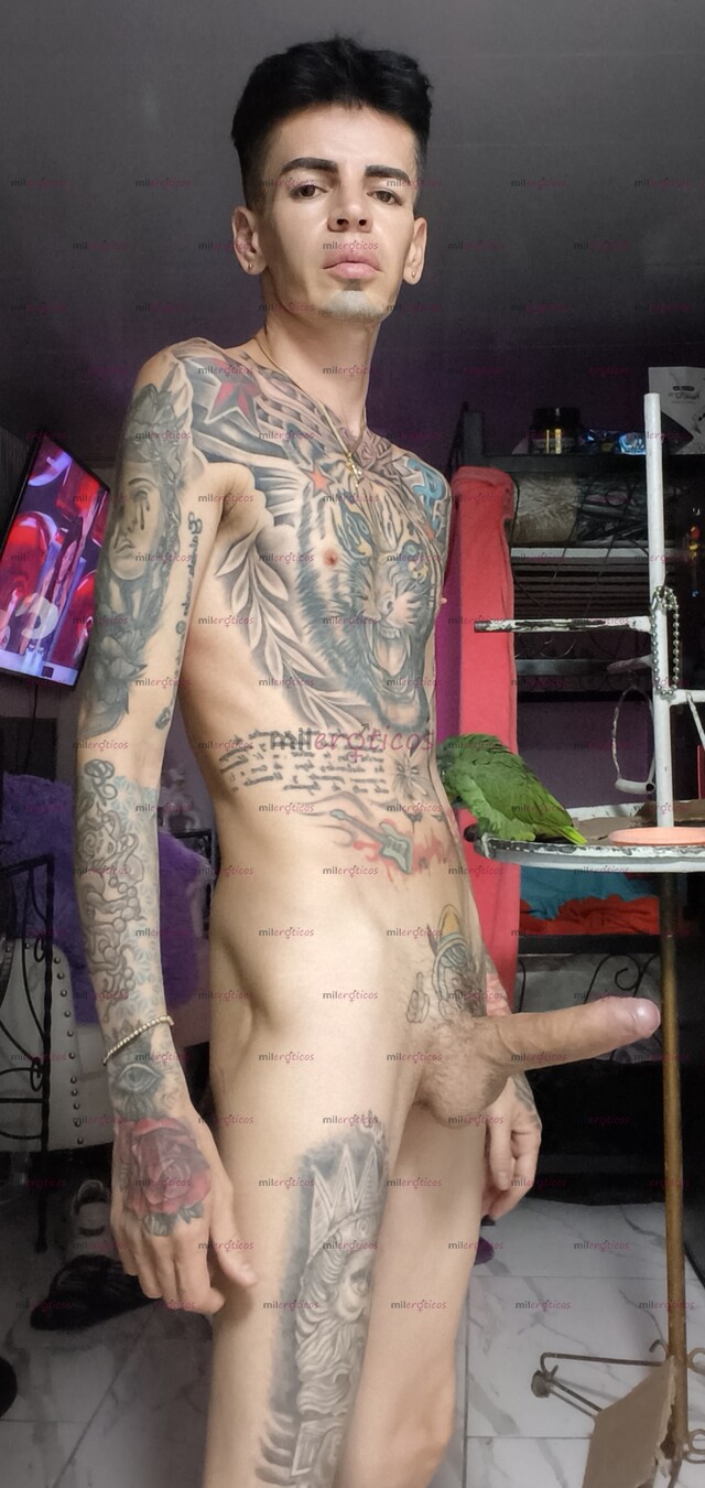 FOTOS DE HOLA YO BLANCO DELGADO ACTIVO FETICHERO TATUADO