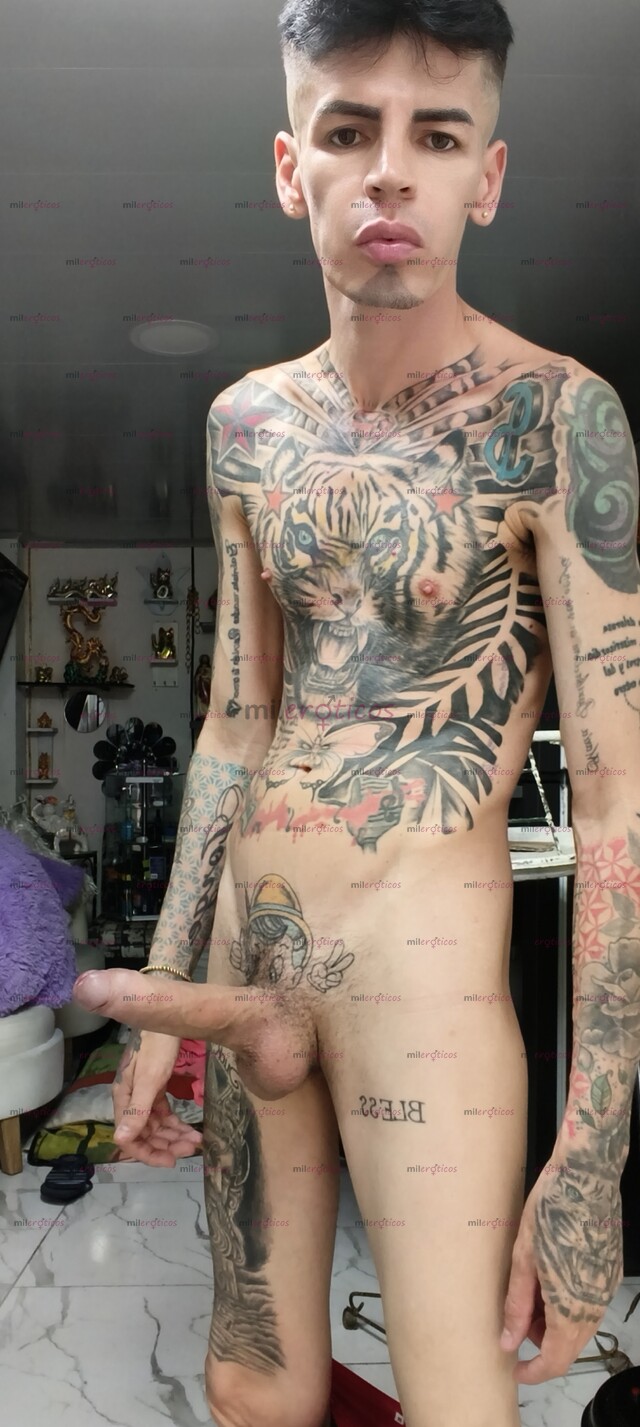 FOTOS DE FLACO VERGON ACTIVO MORBOSO BLANCO TATUADO