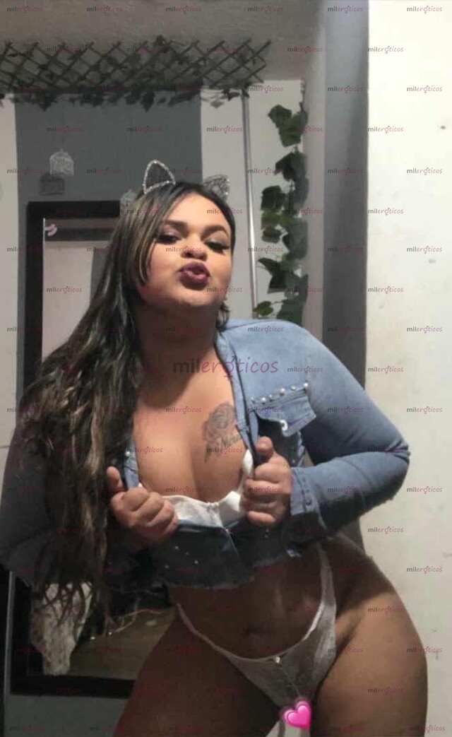FOTOS DE LINDA HERMOSA GORDITA TRANS NUEVA EN LA CIUDAD.