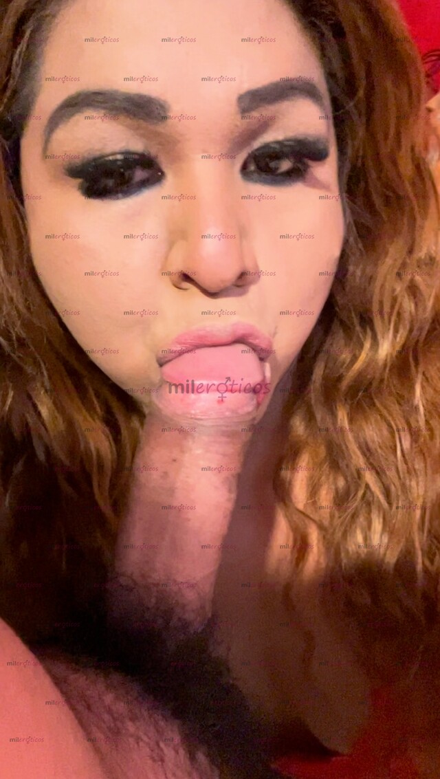 FOTOS DE SOY TRANS!! CON LUGAR CLIMATIZADO, MASAJE EN EL CULO, LLMDS 6675436461