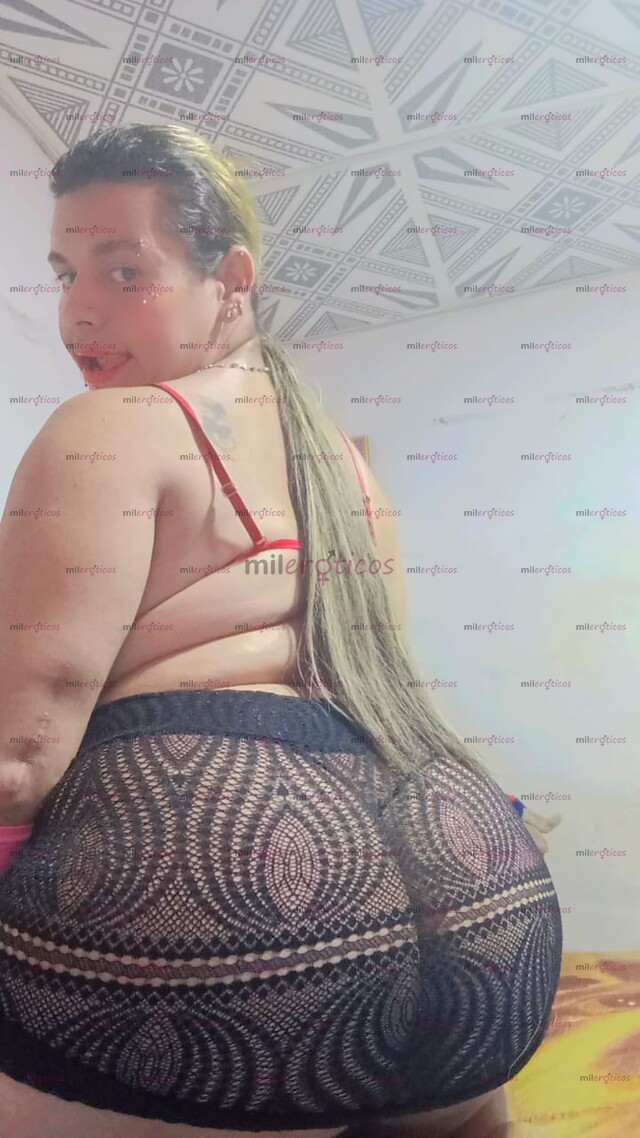 FOTOS DE HOLA MIS AMORES YEGO TU PERRIA EN COMPLACERTE EN TODO