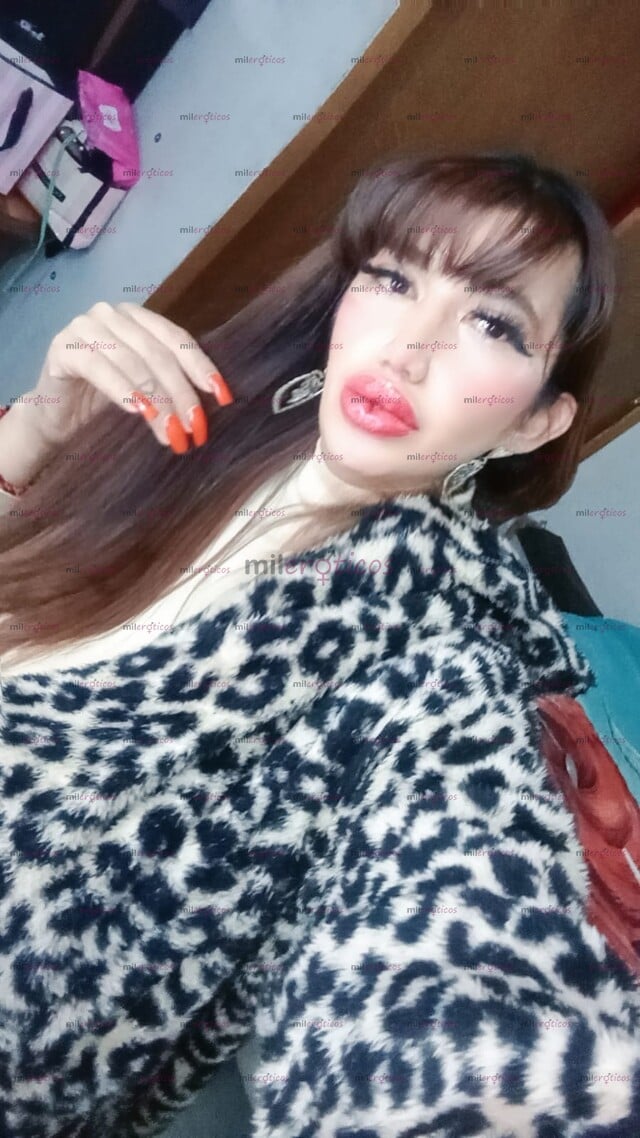 FOTOS DE SOY LA CHICA JOVENCITA MAS PUTA CON EL CULO PUBLICO... DAME PITOTE