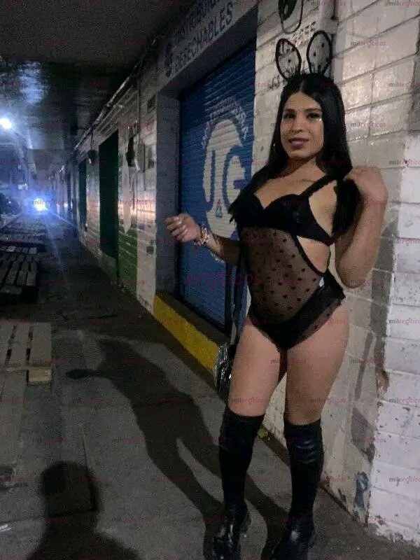FOTOS DE CHICA TRANS HERMOSA TOTALMENTE COMPLACIENTEY CARIÑOSA