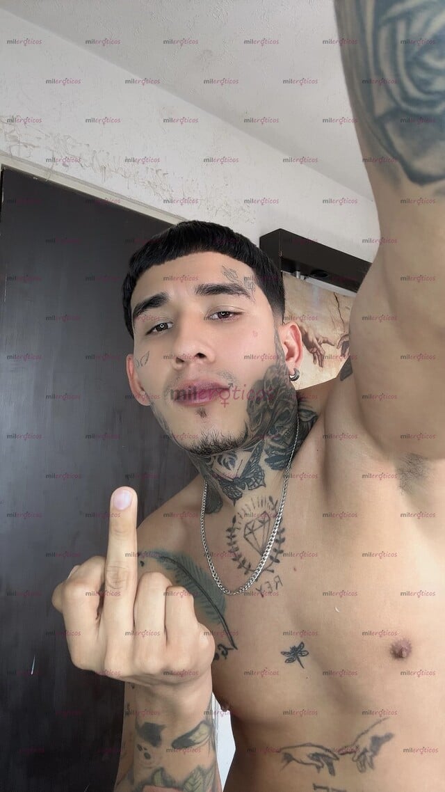 FOTOS DE CHACAL TATUADO 22 AÑOS TU MEJOR OPCIÓN