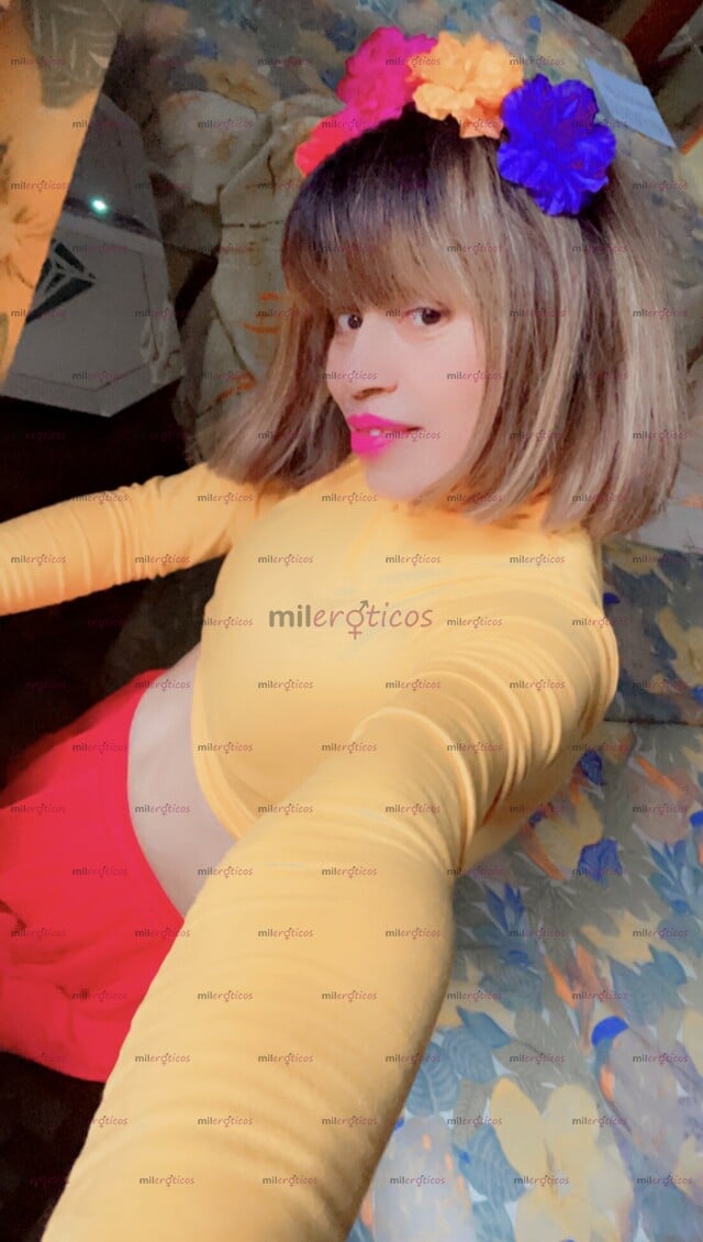 FOTOS DE HERMOSOS ! DE PASO ! CON HOTEL ! CÓMODO Y CÉNTRICO! SEGURO ! COMPLACIENTE ! BEBE