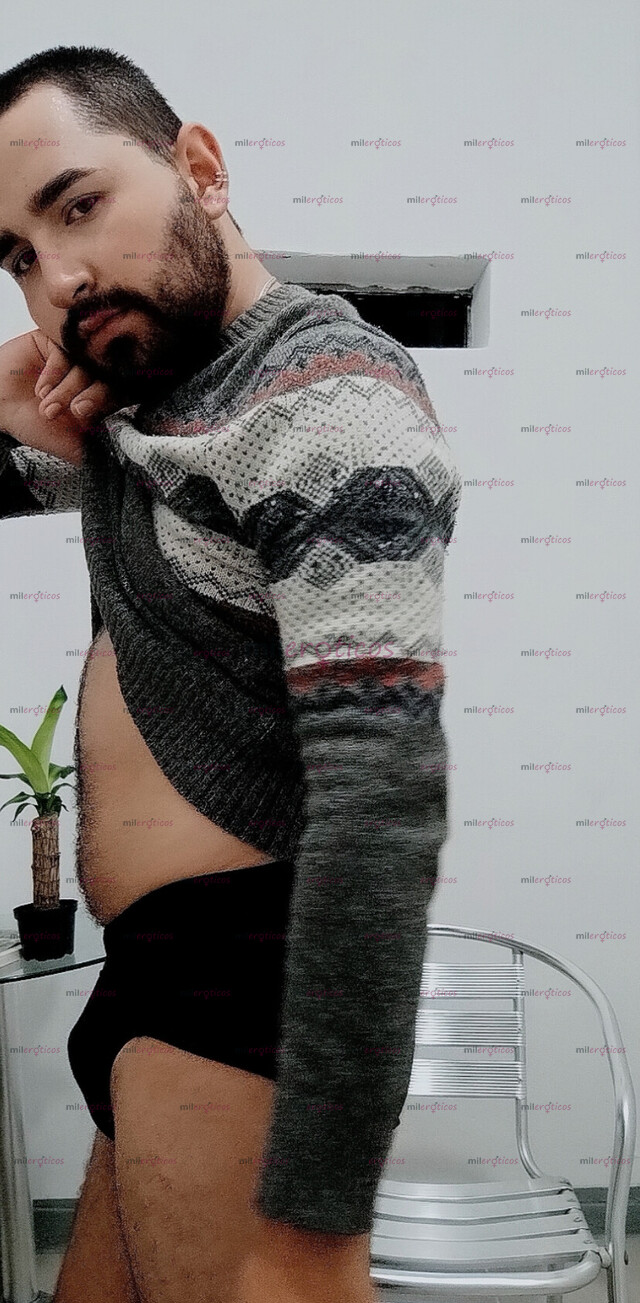 FOTOS DE OSITO PELUDO, VERSÁTIL, VELLUDO CON GANAS DE PASARLA RICO, SITIO