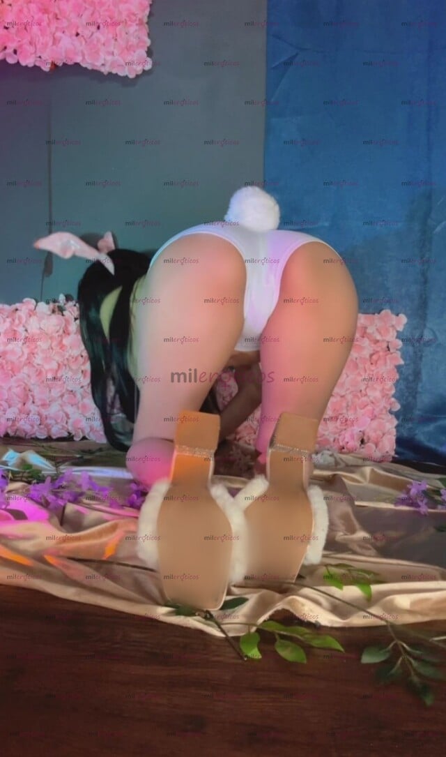 FOTOS DE ESTA CONEJITA TRAVIESA ESTA BUSCANDO UNA RICA ZANAHORIA QUÉ LA LLENE TODA