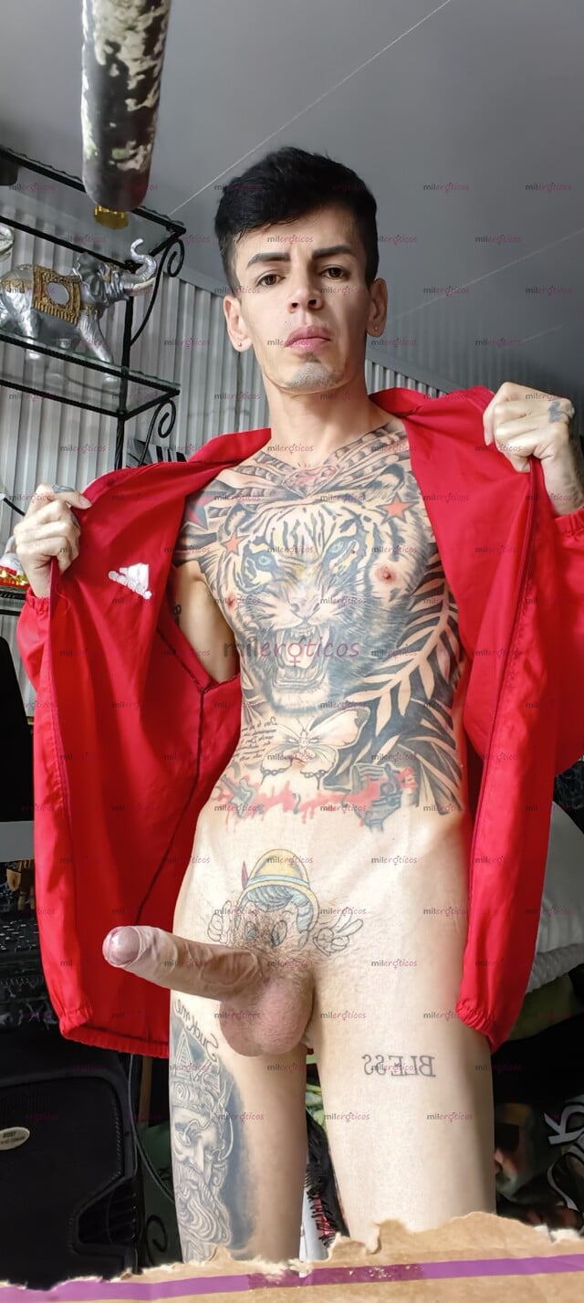 FOTOS DE FLACO ACTIVO SERIO VERGON TATUADO FETICHERO