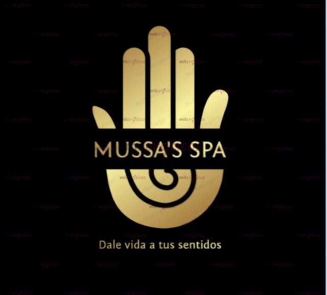 FOTOS DE APARTAMENTO PARA TRABAJAR GENERA TUS PROPIOS INGRESOS