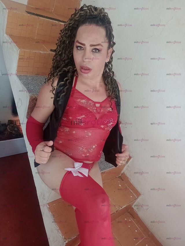 FOTOS DE CHICA TRANS EXPERTA PARA LOS NOVATOS Y DISPUESTA A COMPLACERTE CON APARTAMENTO