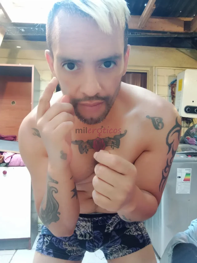 Buenas tardes junto con saludar me presento mi nombre es joaquin tengo 27 anos y soy gay pasivo mamador ojo solo la chupo nada de penetracion ya voy a...