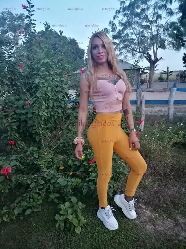 FOTOS DE DISFRUTA DEL MEJOR TRATO PARA PRINCIPIANTES TENGO APT PRIVADO
