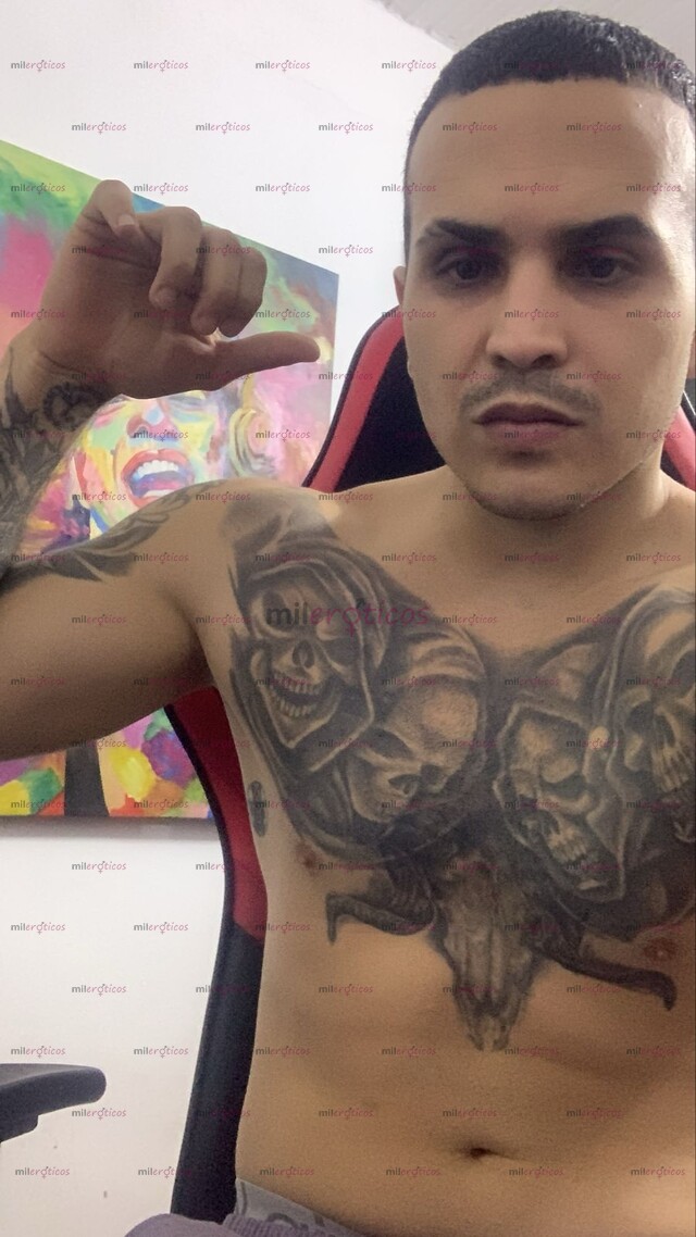 FOTOS DE NUEVO LECHON DISPONIBLE PARA COMPLACERTE EN TODO CON SITIO