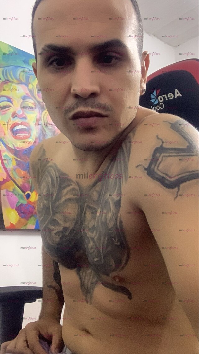 FOTOS DE NUEVO LECHON DISPONIBLE PARA COMPLACERTE EN TODO CON SITIO