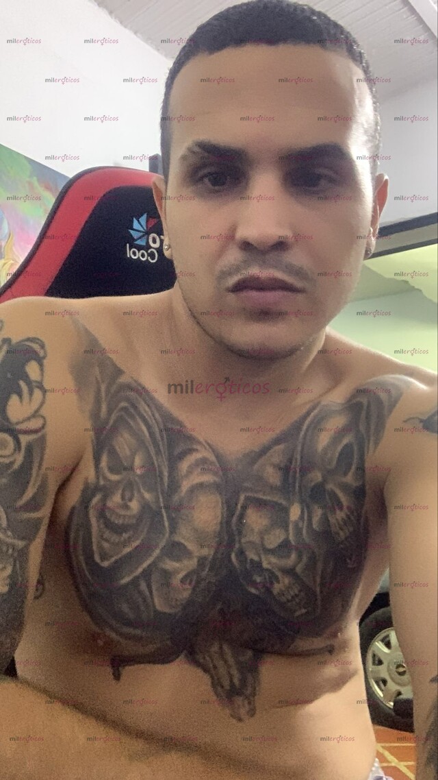 FOTOS DE NUEVO LECHON DISPONIBLE PARA COMPLACERTE EN TODO CON SITIO