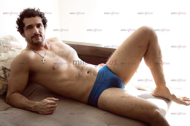 FOTOS DE LEÓN, TIGRE Y TORO EN LA CAMA SEXO GAY DE ALTO NIVEL JUAN MARTÍN VIP