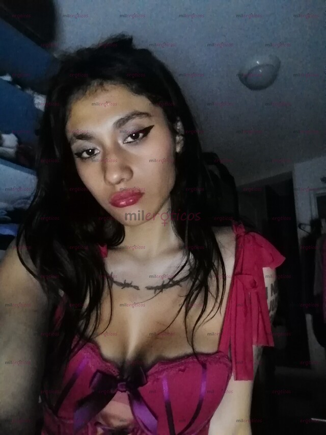 FOTOS DE HOLA CORAZÓN ME LLAMO REBECA ENSEÑAME A PONER DE PERRITA