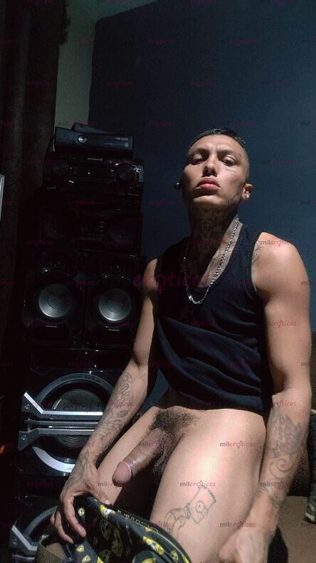 FOTOS DE MORRO CALIENTE CHACAL TATUADO Y COMPLACIENTE19CM 8126077792