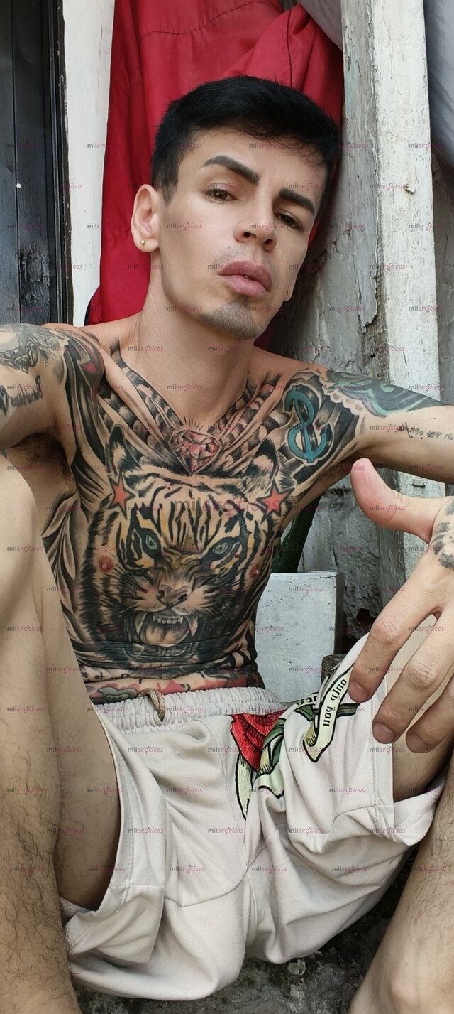 FOTOS DE FLAKITO VERGON TATUADO BLANCO MORBOSO LECHERO