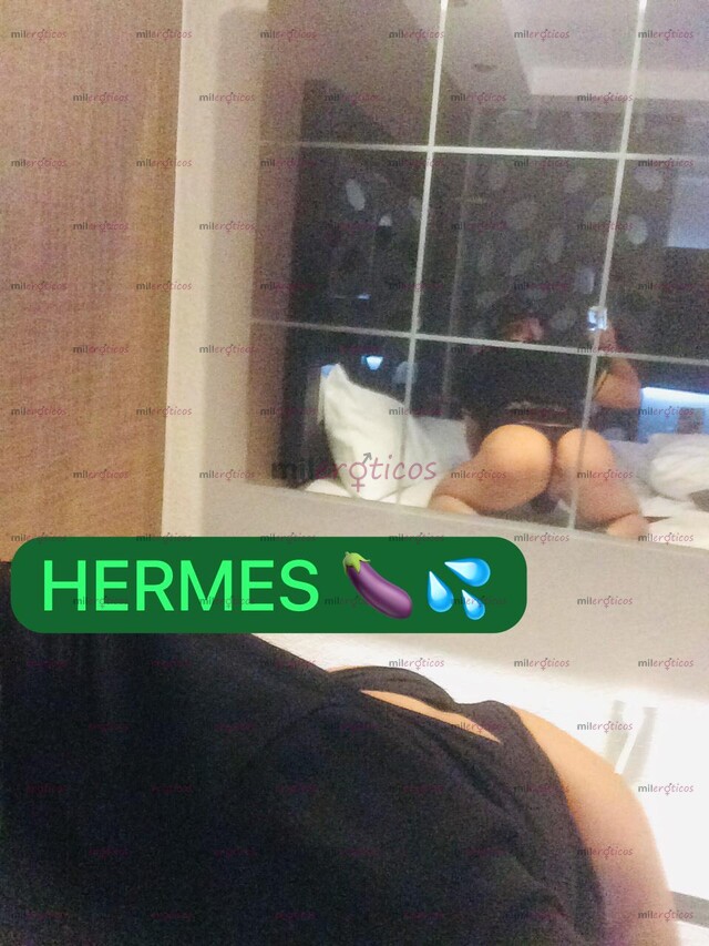 FOTOS DE PREÑADOR HERMES EN BREVE TUXTLA ME ENCANTA ATASCARTE MI VERGA DENTRO DE TU CULO.