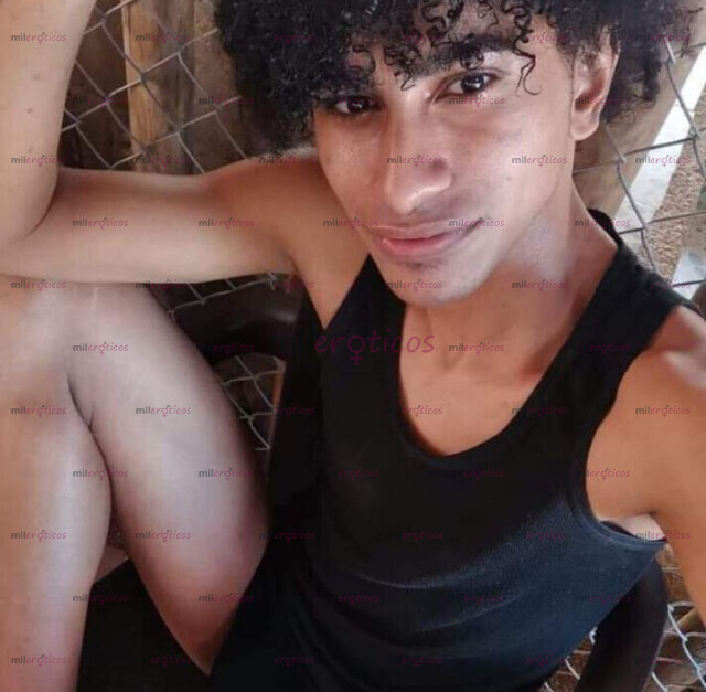FOTOS DE POLLO VERSATIL COMPLACIENTE, UNIVERSITARIO 24 7