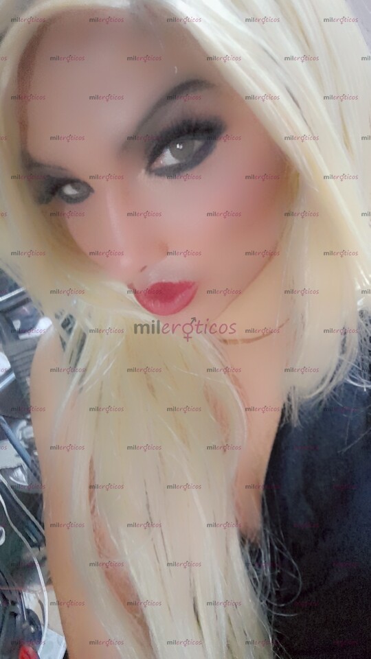 FOTOS DE LA BARBEY TRANS ESTA DE VUELTA PARA CONPLASERTE