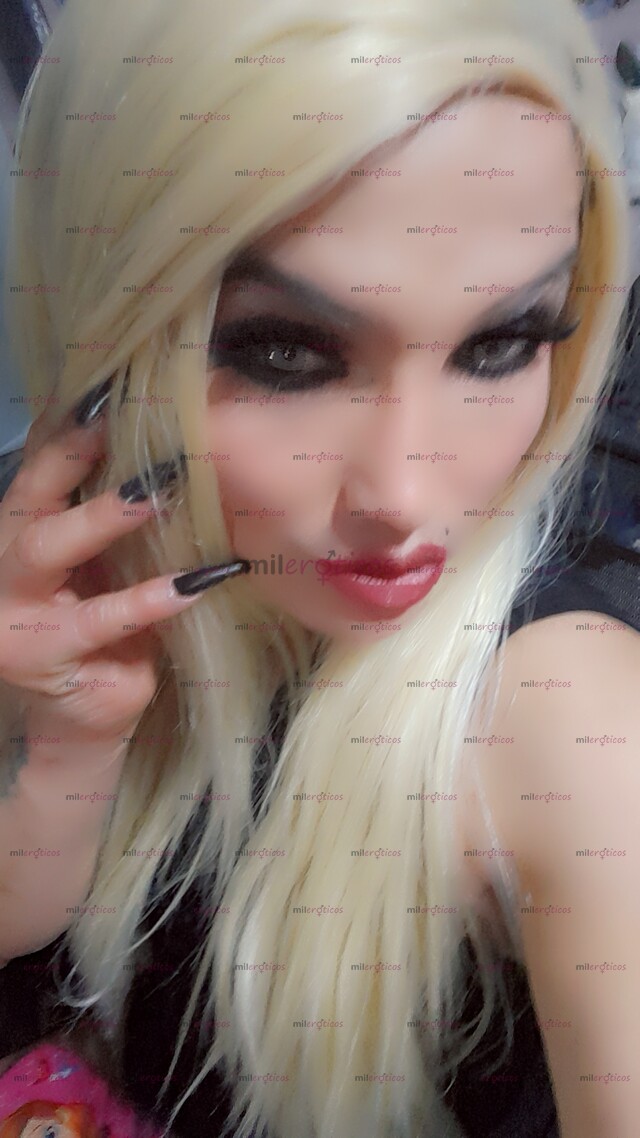 FOTOS DE LA BARBEY TRANS ESTA DE VUELTA PARA CONPLASERTE