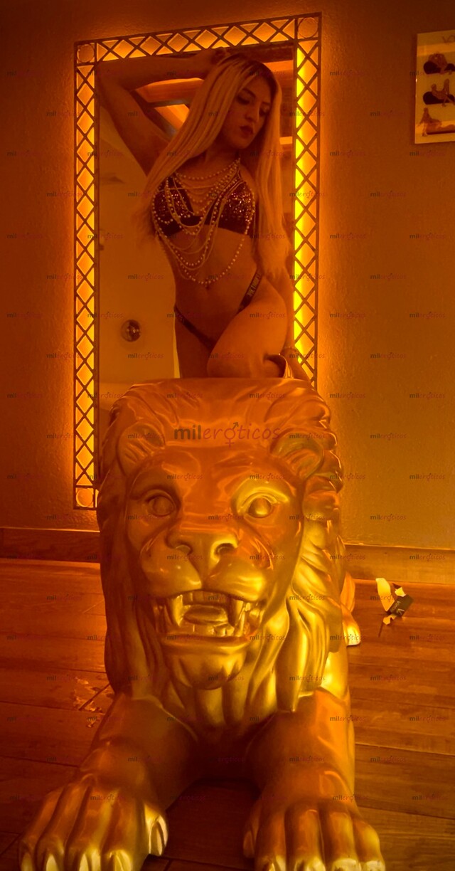 FOTOS DE DELICIOSA JOVENCITA TRANS MUY COMPLACIENTE INTER, DISPONIBLE HOY!!!!