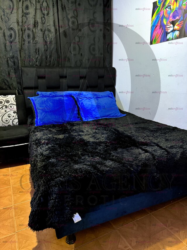 FOTOS DE SE SOLICITA MODELOS, PARA BOGOTÁ HOSPEDAJE, GANANCIAS GARANTIZADAS APTO