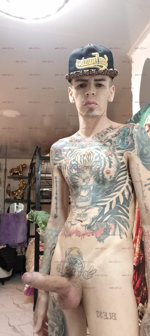 FOTOS DE FLACO VERGON ACTIVO MORBOSO BLANCO TATUADO