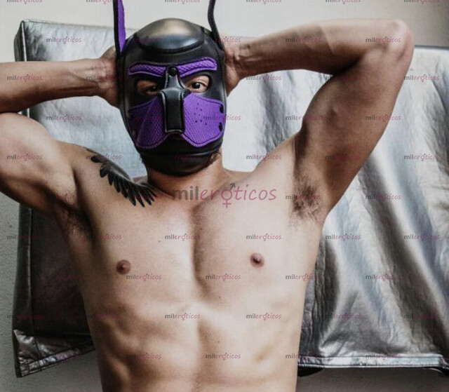 FOTOS DE MACHO ACT 23 CM DE VERGA VENTA DE CONTENIDO