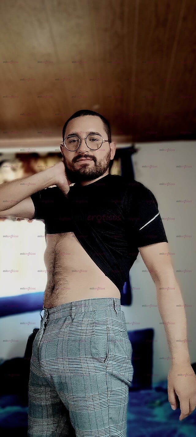 FOTOS DE OSITO PELUDO, VERSÁTIL, VELLUDO CON GANAS DE PASARLA RICO, SITIO, BI.