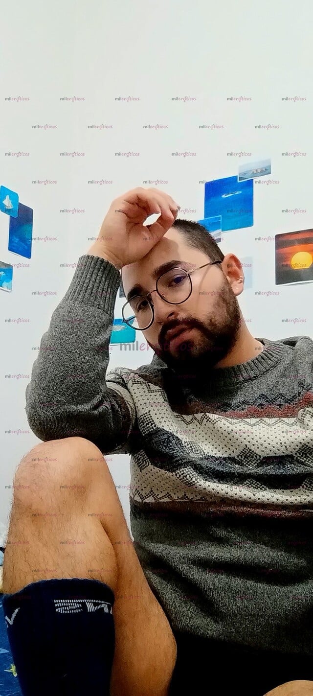 FOTOS DE OSITO PELUDO, VERSÁTIL, VELLUDO CON GANAS DE PASARLA RICO, SITIO, BI.